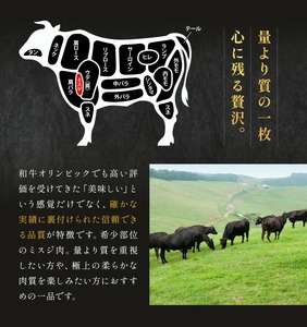 鹿児島県黒毛和牛ミスジ焼肉600g 200ｇ×3パック LRプラスK 《90日以内に出荷予定(土日祝除く) 》 黒毛和牛 和牛 ミスジ 焼肉