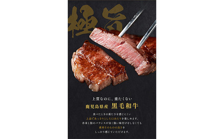 肉 牛肉 鹿児島県産 黒毛和牛 ヒレステーキ 2種盛り ステーキ サイコロ 660g LRプラスK 《90日以内に出荷予定(土日祝除く)》鹿児島県 さつま町