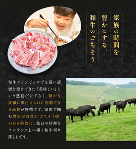 鹿児島県産黒毛和牛切落し250ｇ×3パック LRプラスK 《90日以内に出荷予定(土日祝除く) 》 鹿児島県産 A5 黒毛和牛 和牛 切落し 250ｇ×3パック 計750g