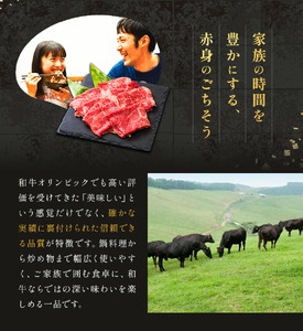 鹿児島県産黒毛和牛赤身スライス200ｇ×2パック LRプラスK 《90日以内に出荷予定(土日祝除く) 》 和牛 黒毛和牛 スライス 赤身 計 400g 鹿児島県産