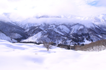 【数量限定】出羽蒸留所　シングルモルトウィスキー「小国・末吉」750ml×1本