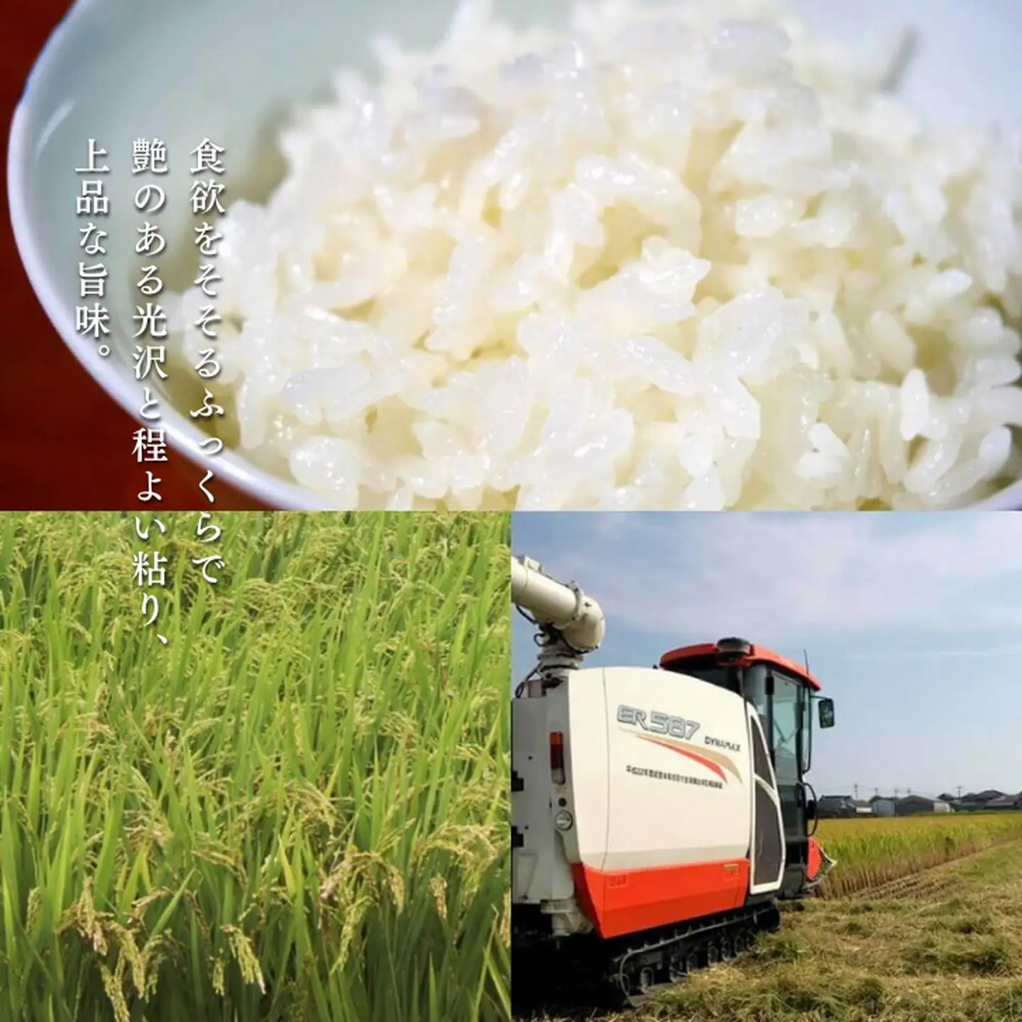 令和7年産 トマト酢を使って育てた「つや姫」 玄米10kg：B365-007