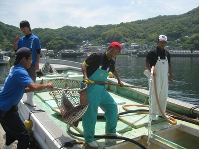 瀬戸内海上釣堀「大漁丸」ペアご招待券 (2名利用) [1885]