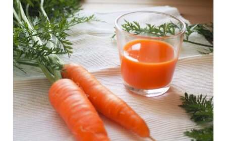 【予約受付】＜フジテレビ『どっちのふるさと？』で紹介されました！＞【期間限定】訳あり！こどもも食べられる甘み！「マドンナキャロット」 3kg にんじん 人参 ニンジン 野菜 やさい 国産 碧南市 健康 食品ロス削減 甘い 先行予約 旬 特産 高評価 高リピート 人気 H105-155