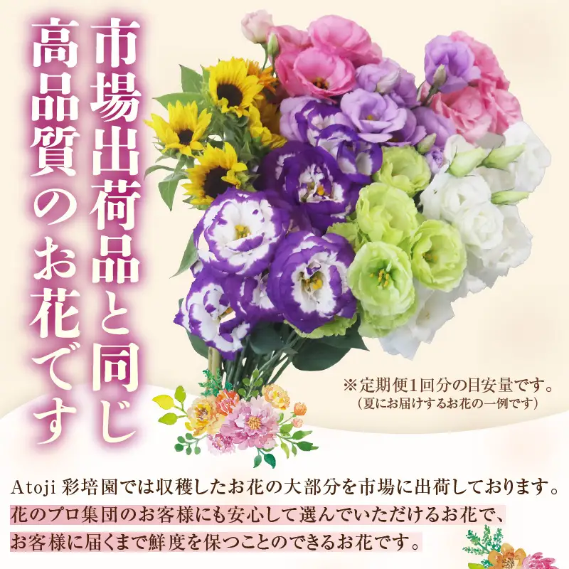 【定期便4回】花農家直送 新鮮な切花【春 夏 秋 冬】 / 生花 お花 旬の花束 豊かな生活 花のある生活 15本程度 2種 季節 年4回お届け [aw099-d001]