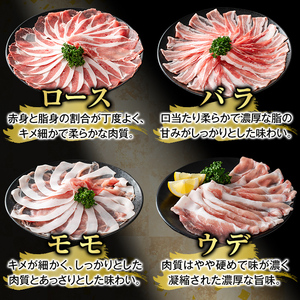 K-364-C かごしま味わい黒豚 スライス バラエティパック(合計3.6kg)【ふるさと産直バザール】霧島市 ロース バラ モモ ウデ 豚肉 国産 鹿児島県産 肉 精肉 小分け セット