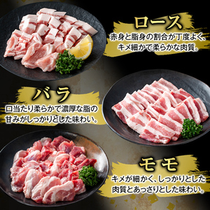 K-367-B かごしま味わい黒豚 さつま焼肉コース(合計1.8kg)【ふるさと産直バザール】霧島市 ロース バラ モモ 焼き肉 ヤキニク 豚肉 国産 鹿児島県産 肉 精肉 小分け セット 食べ比べ
