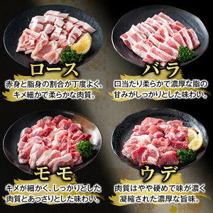 K-370-C かごしま味わい黒豚 焼肉ファミリーパック(合計3.6kg)【ふるさと産直バザール】霧島市 ロース バラ モモ ウデ 焼き肉 ヤキニク 豚肉 国産 鹿児島県産 肉 精肉 小分け セット 食べ比べ
