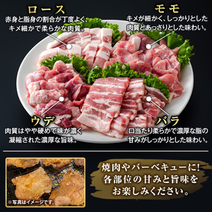 K-379-A 鹿児島県産霜降りトロ豚 焼肉用バラエティセット(合計1kg)【ふるさと産直バザール】霧島市 ロース バラ ウデ モモ 焼き肉 ヤキニク 豚肉 国産 鹿児島県産 肉 精肉 小分け セット 食べ比べ