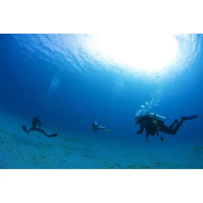 透明度抜群！　奄美大島でボートダイビング（２ボート）