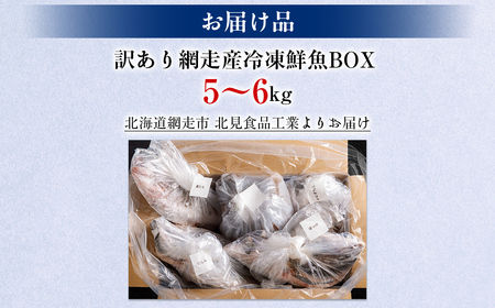 【先行予約】【訳あり】網走産冷凍鮮魚BOX～未利用魚の有効活用（漁業生産者応援企画）～【令和8年4月より順次発送】 ABAE011