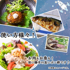 n305 橙 ポン酢 200ml × 2本 調味料 だいだい 【スカイショップ銀河】