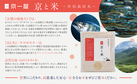 京都府京田辺市産 京と米 ヒノヒカリ 8kg (2kg×4袋) R7年度産 お米 米 こめ コメ 精米 白米 ごはん ご飯 弁当 おにぎり 真空 長期保存 防災 京田辺市 京都府 kt2026