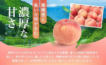 【2026年・先行予約】【訳あり】飛騨の桃（4-8玉) 糖度11度以上 品種おまかせ ご家庭用｜桃  つむぎ果樹園 GH009
