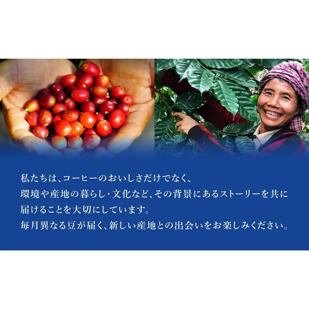 産地を旅するコーヒー定期便 全６回【粉】
