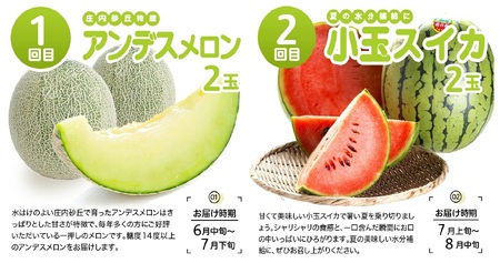 SG0108　【4回定期便】酒田のおいしい夏秋果物セット2026 (アンデスメロン、小玉すいか、刈屋梨、庄内柿)