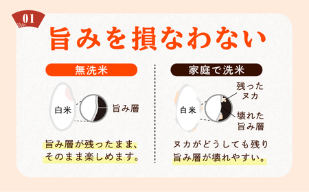 【令和7年産】無洗米夢つくし10kg / 無洗[AFCE001]