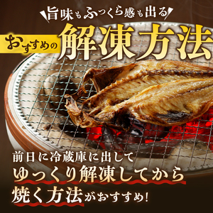 ひもの セット 詰合せ 特選 5種 手作り アジ イカ イワシ サバ ほっけ 醤油干し 一夜干し 昔ながら おかず おつまみ ごはん 冷凍 干物 魚 富士市 [sf001-163]