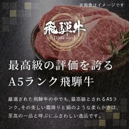 飛騨牛5等級 スネ肉煮込み用500g　FTA281_肉 飛騨牛 牛肉 うし ビーフ_【配送不可地域：離島】【1578292】