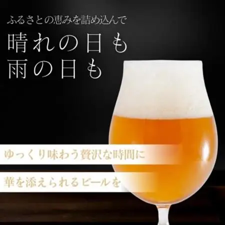 館山ブロンドエール 6本セット【配送不可地域：離島】【1578218】