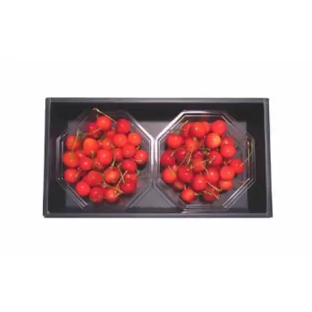 【2026年発送】フルーツ王国　信州中野産　さくらんぼ　高砂　約500g(約100g×5パック)【配送不可地域：離島】【1577326】