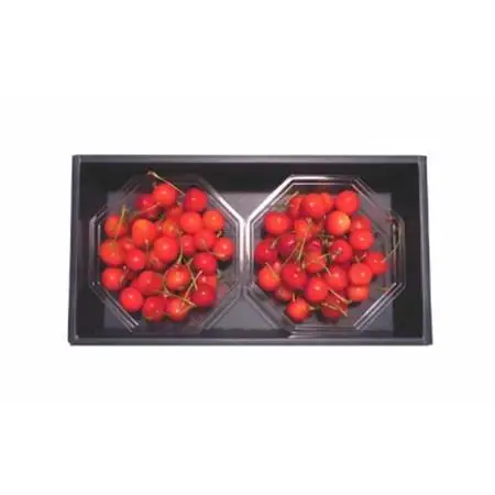 【2026年発送】フルーツ王国　信州中野産　さくらんぼ　佐藤錦　約500g(約100g×5パック)【配送不可地域：離島】【1577337】