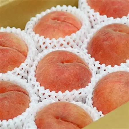 【2026年発送】フルーツ王国　長野県信州直送「旬な桃」　あかつき　約2kg(4～8玉)【配送不可地域：離島】【1577361】
