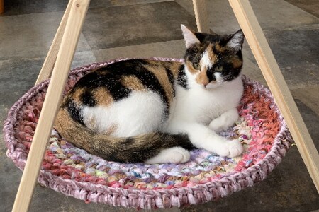 猫 ハンモック ねこいとハンモック 2段タイプ [ねこいとハンモックpama 石川県 中能登町 27ao0012]