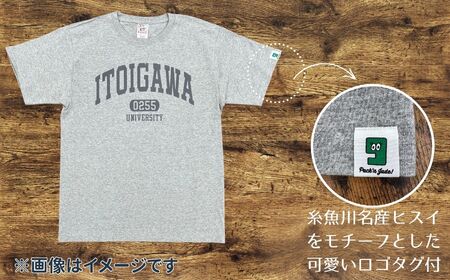 【選べるカラー･サイズ】糸魚川オリジナル『いといがわ大学』Ｔシャツ 1枚 半袖（XS･S･M･L･XLサイズ）コットン【ITOIGAWA大学 新潟県 糸魚川市 ヒスイ 衣類 おしゃれ シンプル いまいスポーツ ティーシャツ メンズ レディース キッズ ネイビー ホワイト グレー デニム】