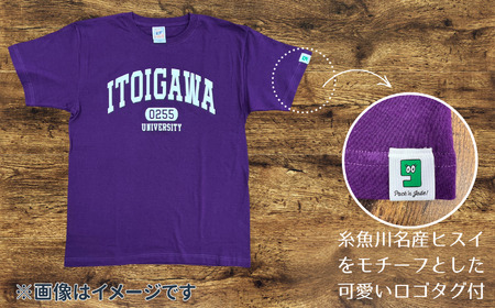 【選べるカラー･サイズ】糸魚川オリジナル『いといがわ大学』Ｔシャツ 1枚 半袖（XS･S･M･L･XLサイズ）コットン【ITOIGAWA大学 新潟県 糸魚川市 ヒスイ 衣類 おしゃれ シンプル いまいスポーツ ティーシャツ メンズ レディース キッズ アカ シロ アーミーグリーン パープル】