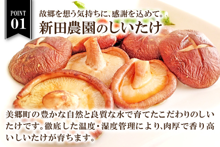 菌床しいたけ　かご入り