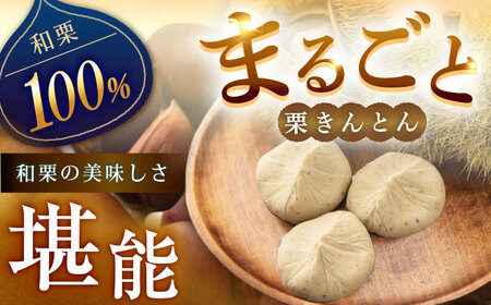 栗きんとん水まんじゅう15個 / 恵那市 / 良平堂 [AUDB038]