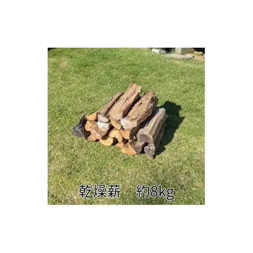 乾燥薪 （ 広葉樹 8kg）と スウェーデントーチ （ 広葉樹 1本）のセット