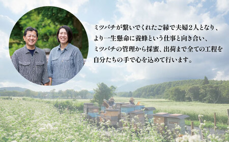 大西養蜂場 非加熱はちみつ さくら 300g 2本 ／【大西養蜂場】 桜 サクラ ２本 セット 蜂蜜 ハチミツ 国産 国産はちみつ 非加熱はちみつ 純粋 純粋はちみつ ３００ｇ 600g ６００ｇ 使いやすい 専用ボトル プラスチック容器 長期保存 人気 オススメ おすすめ