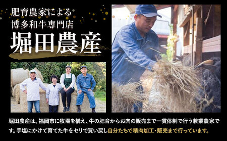博多和牛 サーロインステーキ 400g 有限会社堀田農産 堀ちゃん牧場《60日以内に出荷予定(土日祝除く)》福岡県 小竹町 牛 牛 和牛 サーロイン ステーキ