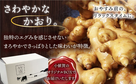 HAO!ジンジャーシロップ 160g×10   [DAA049] 生姜 シロップ
