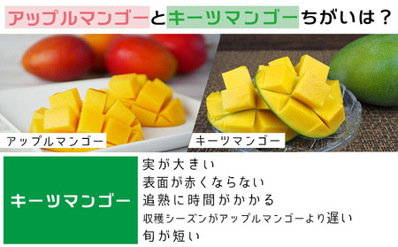 【2026年発送】大宜味村キーツマンゴー約2kg【数量限定】