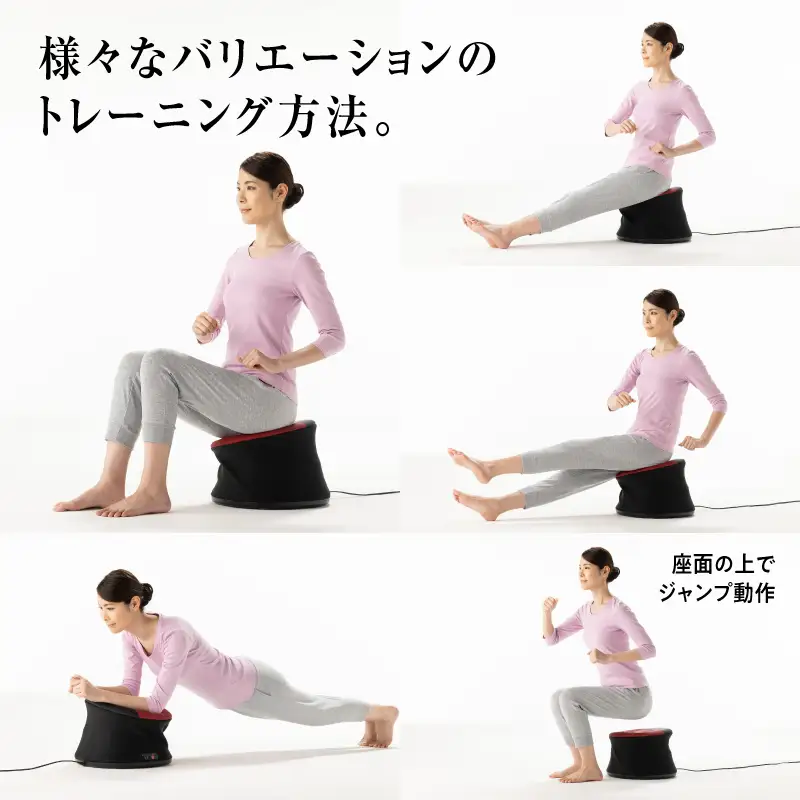 シェイクヒップホップFD-066：簡単操作でお腹と腰の筋肉をトレーニング！家庭用安全機能付き
