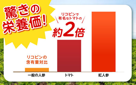【甘さと栄養を100%凝縮！】真っ赤な人参 「紅天神」 キャロットジュース 180ml×8本 / にんじん ニンジン 人参 キャロット きゃろっと ジュース じゅーす きゃろっとじゅーす / 諫早市 / 滝商店株式会社 [AHCU004]