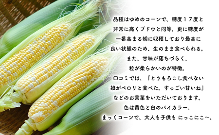 2026年発送 富良野産 生のまま食べれる！とうもろこし まっくコーン　22本　北海道 富良野市 とうきび とうもろこし 旬 季節 ふらの 甘い コーン