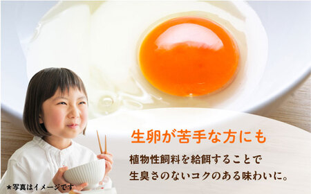 餌にこだわった三浦半島産赤たまご　50個　【横須賀商工会議所　おもてなしギフト事務局（岩沢ポートリー）】[AKET005]
