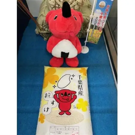 令和7年産 精米 長狭米コシヒカリ＆粒すけ各5kgセット【1578286】