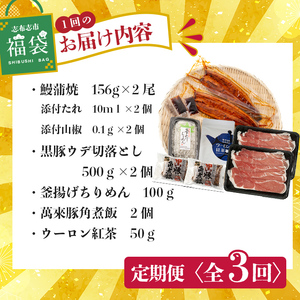 【定期便全３回】志布志市福袋！鰻とおかずいろいろセット(霧島湧水鰻2尾＆釜揚げちりめん＆黒豚ウデ切り落とし＆ウーロン紅茶＆角煮飯) ウナギ 蒲焼 2尾 鰻重 うな丼 黒豚 しらす ちりめんじゃこ バラエティ 食べ比べ t0084-015