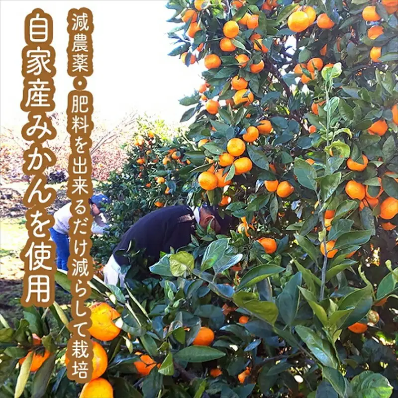 スイスで加工品を学んだ農家が手間暇かけた『手づくりジャムソース【みかん】』16本セット【 家庭用 自宅用 贈答品 贈答用 ギフト お取り寄せ お中元 お歳暮 贈り物 お祝い 神奈川県 小田原市 ジャム ジャム】
