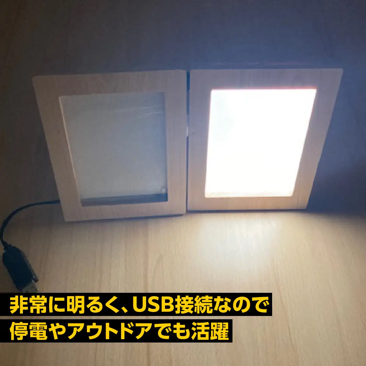 写光Shapica（シャピカ）Lサイズ　西川材フレーム　USB接続 HNNO001