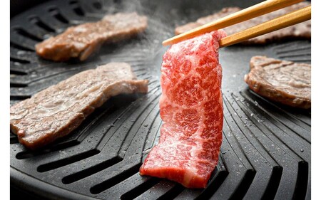 南小国産 阿蘇高原牛 焼肉 肩ロース 800g 焼肉 BBQ バーベキュー 焼き肉 ロース ロース肉 贅沢 牛 牛肉 国産牛 小分け 熊本県産 国産 贈答用 ギフト ハマダ 熊本 阿蘇 南小国町 送料無料