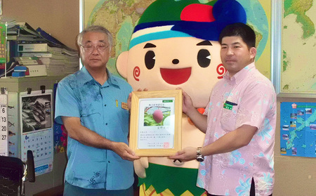 マンゴー 拠点産地【2026年発送】「宜野座村」家庭用アップルマンゴー（約2kg）