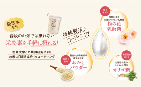 【いつものご飯で腸活！】腸活米 150g×20個セット 令和6年度米【出島トンボロ】[VD10] 米 白米