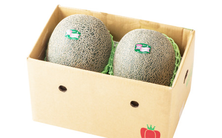 熊本県産 肥後グリーンメロン 2玉 果物 フルーツ メロン【2026年6月上旬～6月下旬迄順次発送予定】