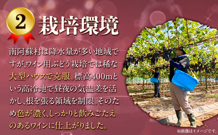【3ヶ月定期便】南阿蘇村産ぶどう100%使用 赤ワイン RED cow 1本 750ml《お申込み月の翌月から出荷開始》熊本県 南阿蘇村 カベルネ・ソーヴィニヨン ヤマ・ソーヴィニヨン ワイン 酒 お酒 定期 計3回 お届け
